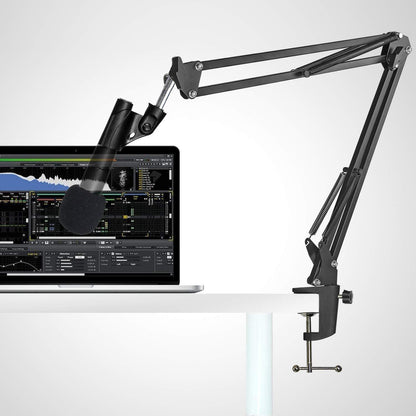 SM58 Mic Stand with Windscreen - Microphone Boom Arm Stand with Foam Cover Po...