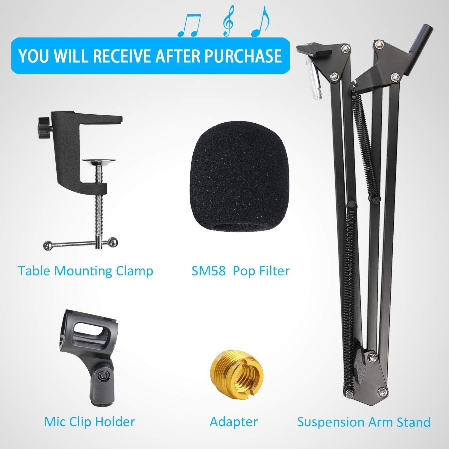 SM58 Mic Stand with Windscreen - Microphone Boom Arm Stand with Foam Cover Po...
